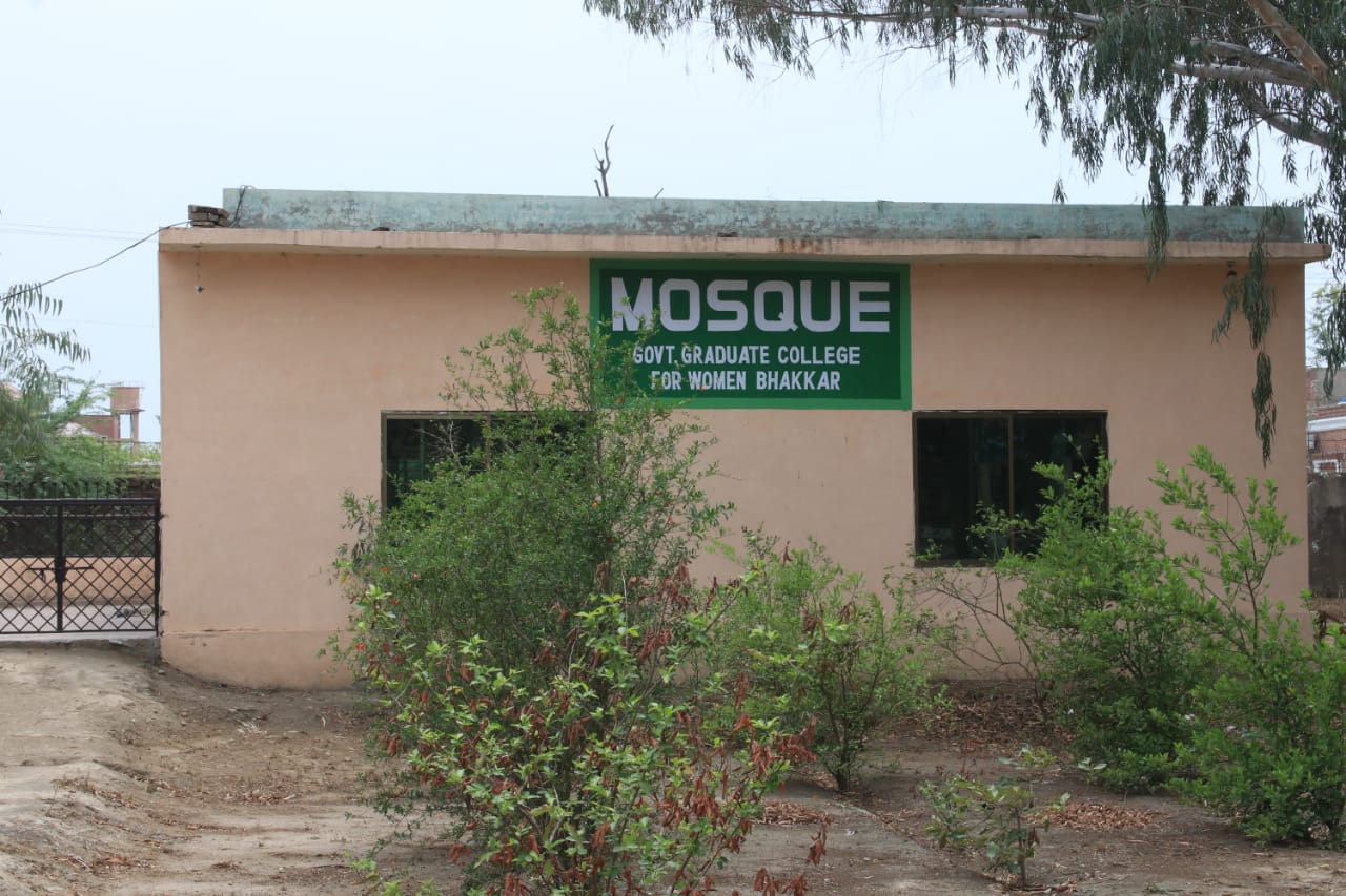 College Gallery Image